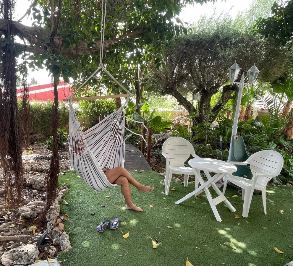 Habitacion Agregada, Suite Frente A La Piscina 2 P Habitacion No Casa Completa San Vicente Raspeig Bagian luar foto